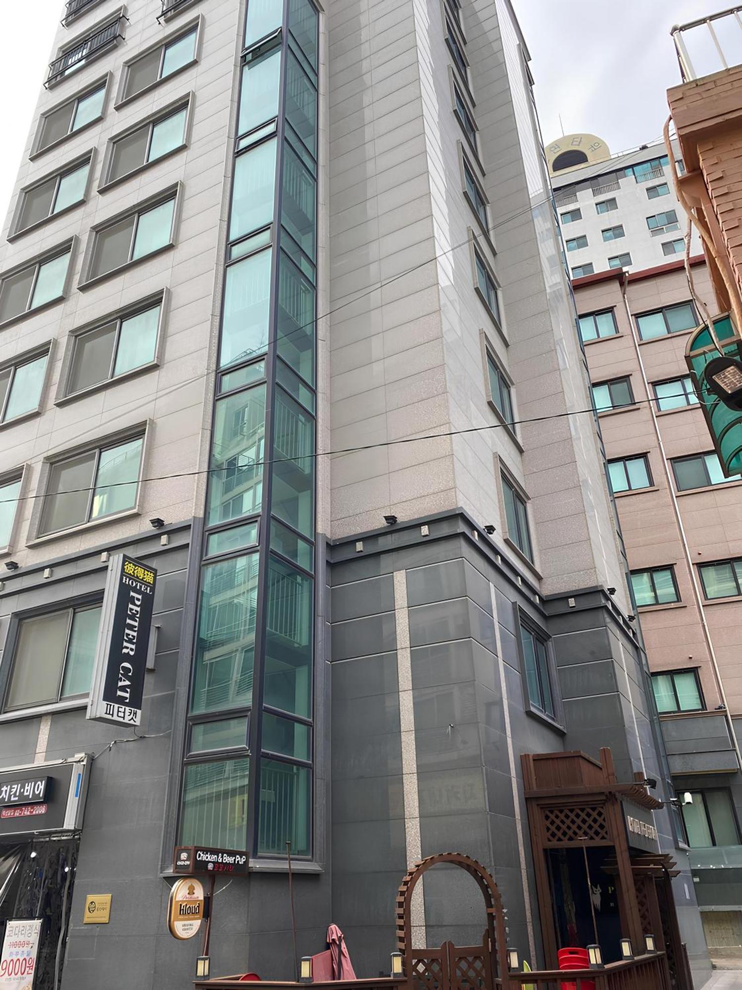 Ssh Ikseon Peter Cat Hostel Seoul Exteriör bild